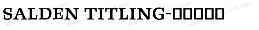 Salden Titling字体转换